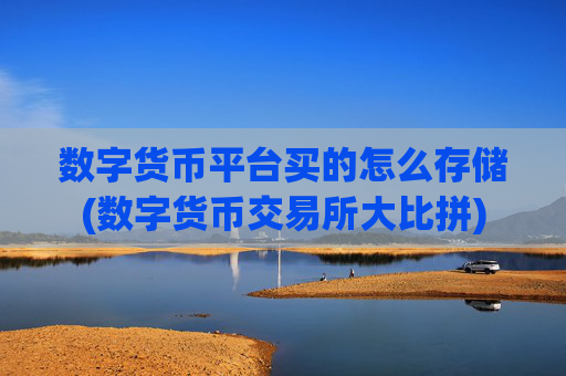数字货币平台买的怎么存储(数字货币交易所大比拼)