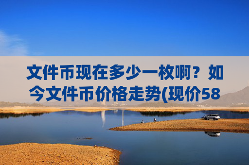 文件币现在多少一枚啊？如今文件币价格走势(现价58.2036元)