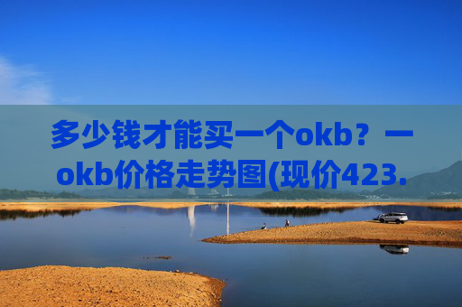 多少钱才能买一个okb？一okb价格走势图(现价423.061元)
