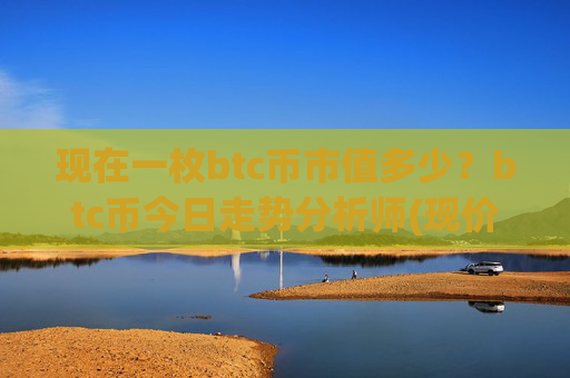 现在一枚btc币市值多少？btc币今日走势分析师(现价733035.2元)