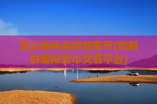 怎么看所买的加密币(创新的虚拟货币交易平台)