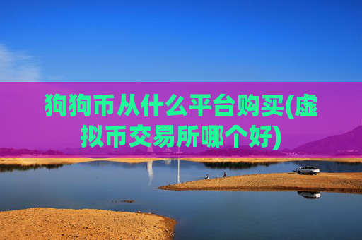 狗狗币从什么平台购买(虚拟币交易所哪个好)