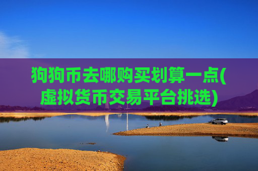 狗狗币去哪购买划算一点(虚拟货币交易平台挑选)