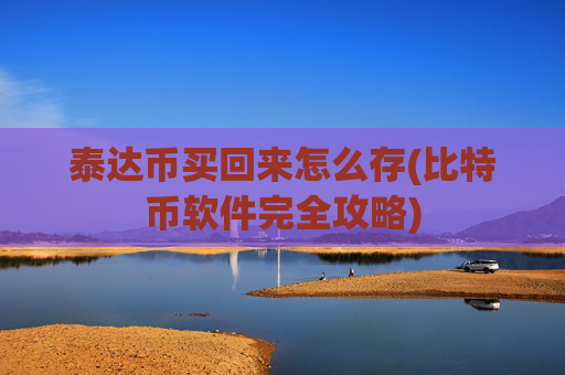 泰达币买回来怎么存(比特币软件完全攻略)