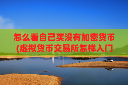怎么看自己买没有加密货币(虚拟货币交易所怎样入门)