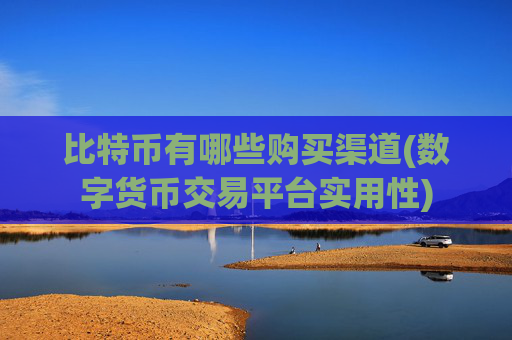 比特币有哪些购买渠道(数字货币交易平台实用性)