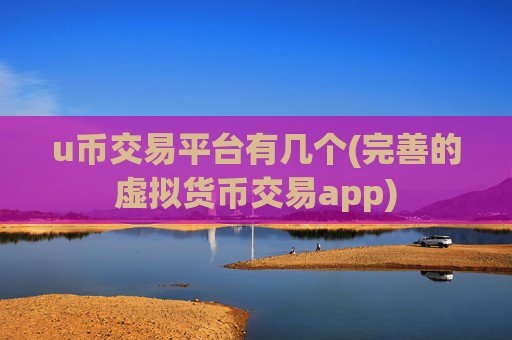 u币交易平台有几个(完善的虚拟货币交易app)