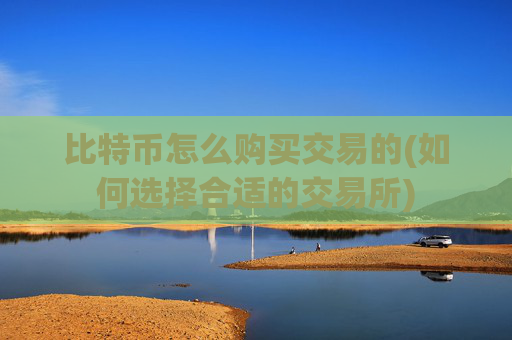 比特币怎么购买交易的(如何选择合适的交易所)