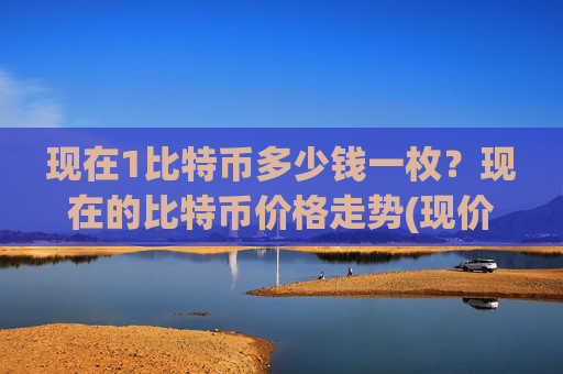 现在1比特币多少钱一枚？现在的比特币价格走势(现价732634.9元)