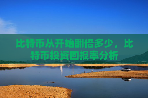 比特币从开始翻倍多少，比特币投资回报率分析