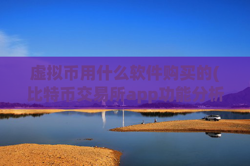 虚拟币用什么软件购买的(比特币交易所app功能分析)
