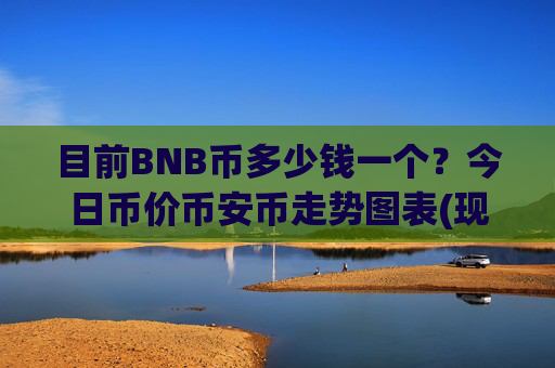目前BNB币多少钱一个？今日币价币安币走势图表(现价5315.01元)