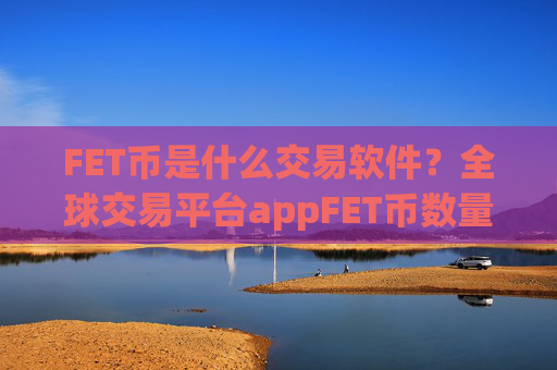 FET币是什么交易软件？全球交易平台appFET币数量