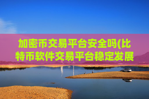 加密币交易平台安全吗(比特币软件交易平台稳定发展)