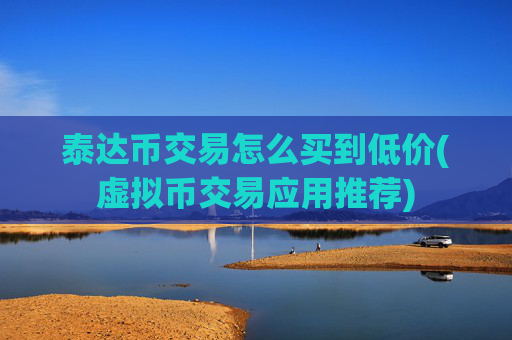 泰达币交易怎么买到低价(虚拟币交易应用推荐)