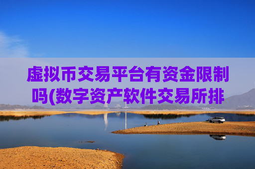虚拟币交易平台有资金限制吗(数字资产软件交易所排名)