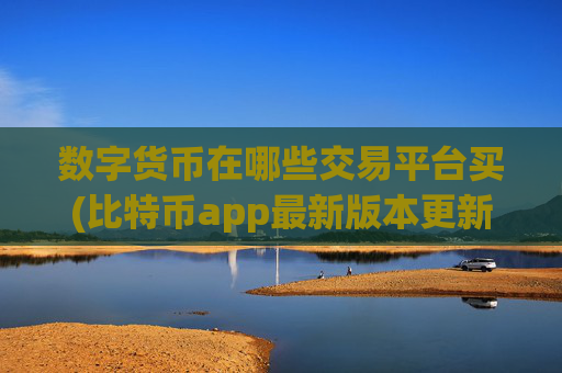 数字货币在哪些交易平台买(比特币app最新版本更新)