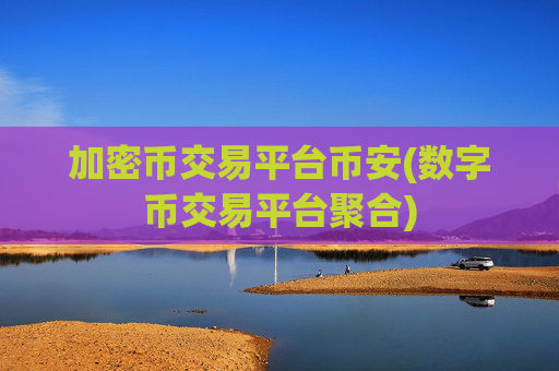 加密币交易平台币安(数字币交易平台聚合)