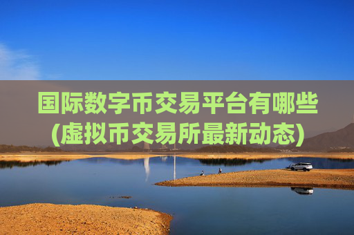 国际数字币交易平台有哪些(虚拟币交易所最新动态)