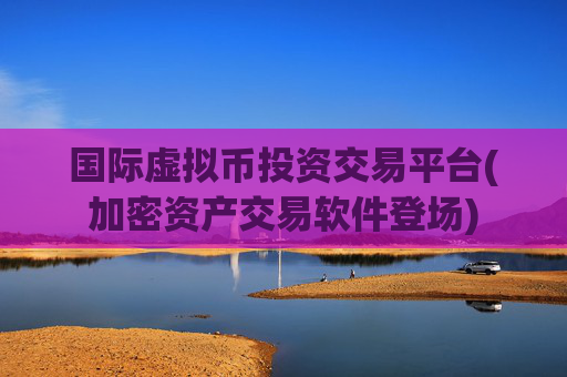国际虚拟币投资交易平台(加密资产交易软件登场)