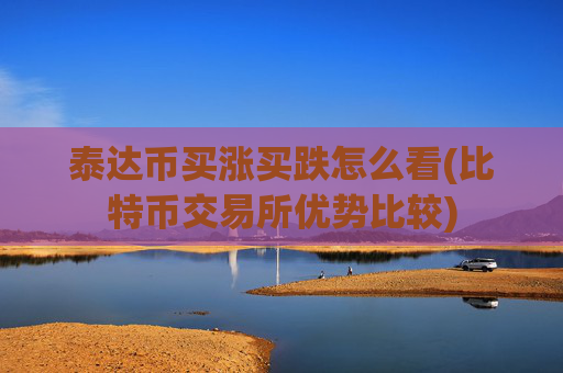 泰达币买涨买跌怎么看(比特币交易所优势比较)