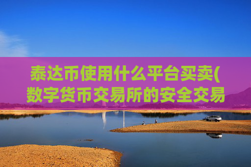 泰达币使用什么平台买卖(数字货币交易所的安全交易软件)