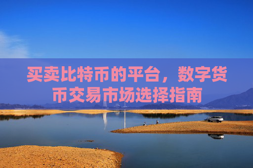 买卖比特币的平台，数字货币交易市场选择指南