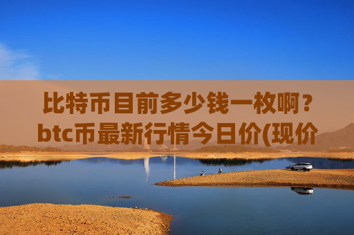 比特币目前多少钱一枚啊？btc币最新行情今日价(现价736076.88元)