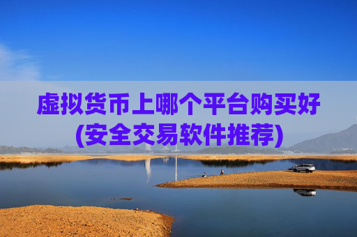 虚拟货币上哪个平台购买好(安全交易软件推荐)