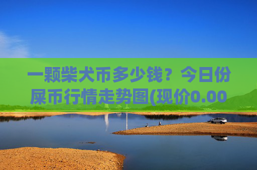一颗柴犬币多少钱？今日份屎币行情走势图(现价0.00015902元)