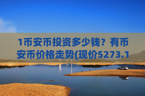 1币安币投资多少钱？有币安币价格走势(现价5273.17元)
