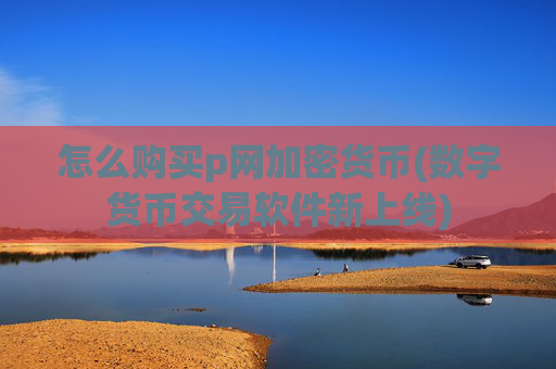 怎么购买p网加密货币(数字货币交易软件新上线)
