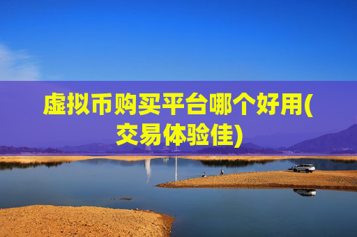 虚拟币购买平台哪个好用(交易体验佳)