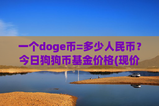 一个doge币=多少人民币？今日狗狗币基金价格(现价3.1712元)