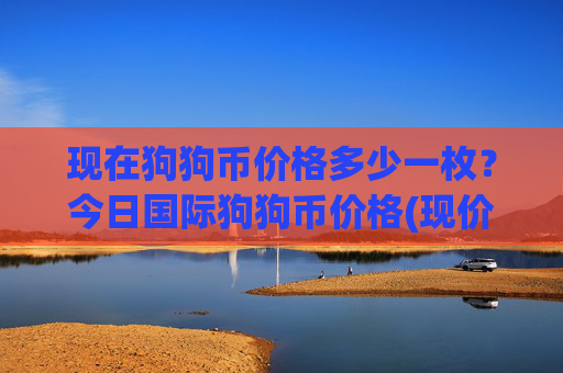 现在狗狗币价格多少一枚？今日国际狗狗币价格(现价2.3417元)