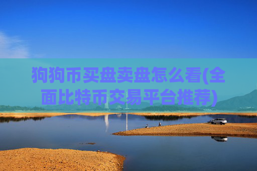 狗狗币买盘卖盘怎么看(全面比特币交易平台推荐)