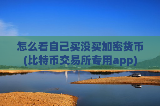 怎么看自己买没买加密货币(比特币交易所专用app)