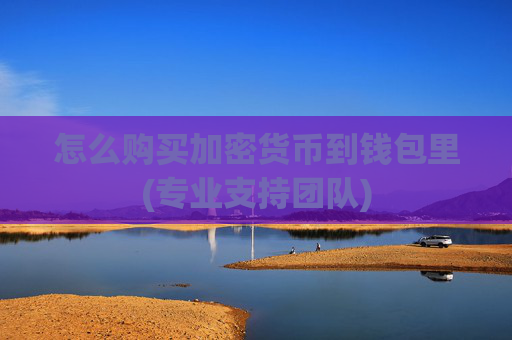 怎么购买加密货币到钱包里(专业支持团队)