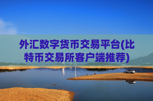 外汇数字货币交易平台(比特币交易所客户端推荐)