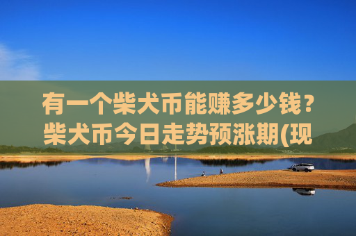 有一个柴犬币能赚多少钱？柴犬币今日走势预涨期(现价0.00022739元)