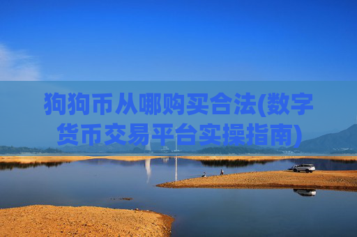 狗狗币从哪购买合法(数字货币交易平台实操指南)