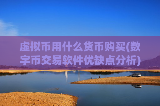 虚拟币用什么货币购买(数字币交易软件优缺点分析)
