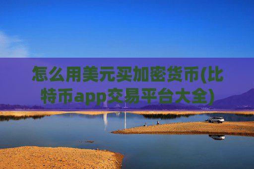 怎么用美元买加密货币(比特币app交易平台大全)