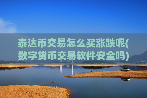 泰达币交易怎么买涨跌呢(数字货币交易软件安全吗)