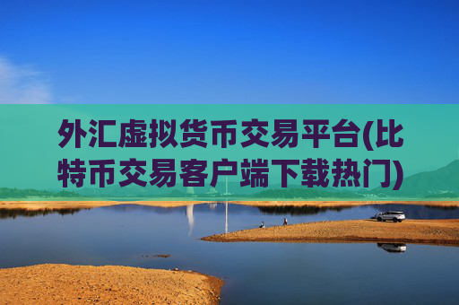 外汇虚拟货币交易平台(比特币交易客户端下载热门)