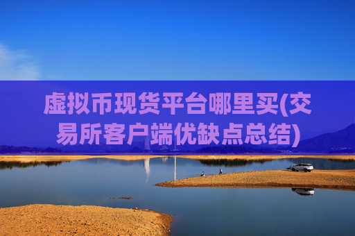虚拟币现货平台哪里买(交易所客户端优缺点总结)