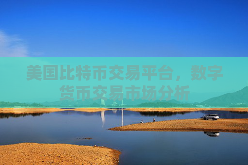 美国比特币交易平台，数字货币交易市场分析