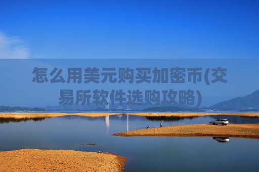 怎么用美元购买加密币(交易所软件选购攻略)