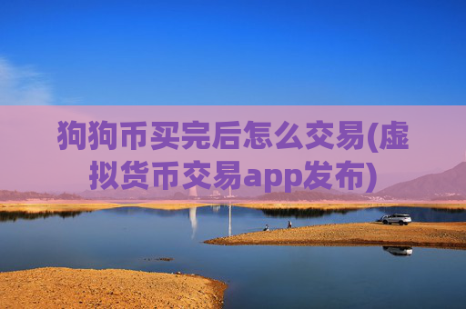 狗狗币买完后怎么交易(虚拟货币交易app发布)
