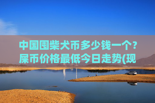 中国囤柴犬币多少钱一个？屎币价格最低今日走势(现价0.00022682元)